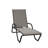 Outdoor Rust-Resistant Metal Chaise Lounge-19510282-48935076