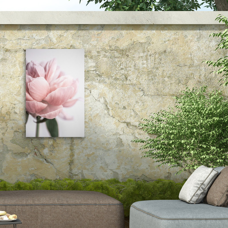 Mareike Bohmer  Peony 3 Outdoor  Canvas, H 12 po x l 19 po