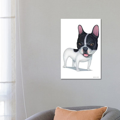 Bouledogue français blanc et noir