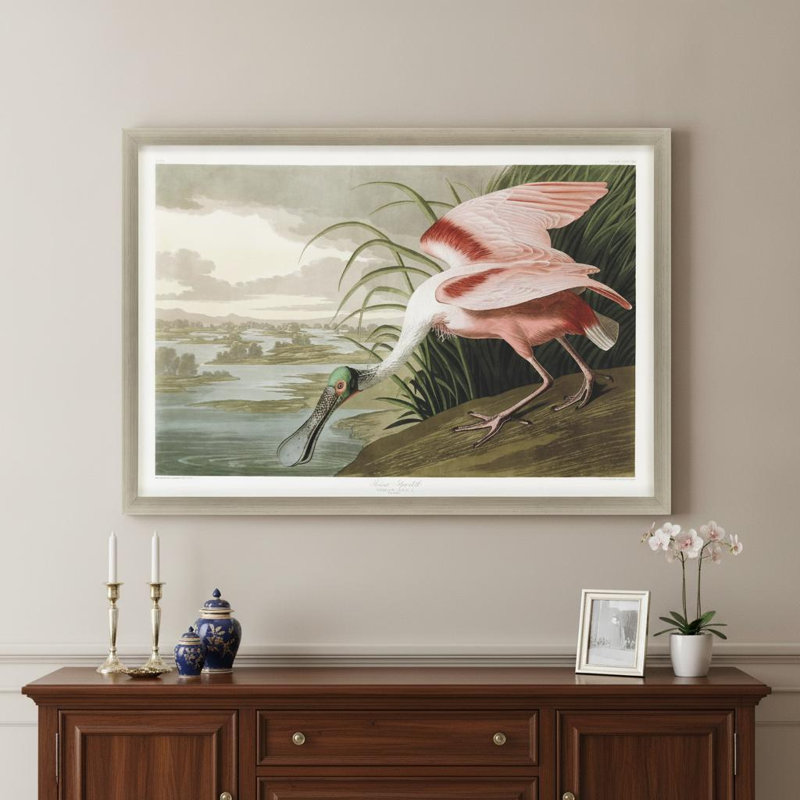 Roseate Spoonbill Silver Framed Print Wall Art