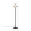 Arbre 18,864 po Chamond-222501213-222501203