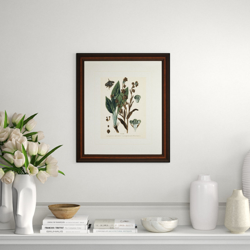 Verde Tinted Botanical II Print