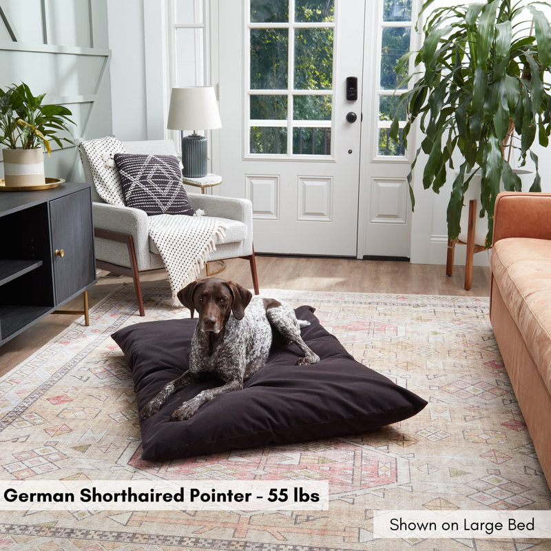 Lit pour chien en velours côtelé Gladmir, H 4 po x l 48 po x P 36 po, Gris