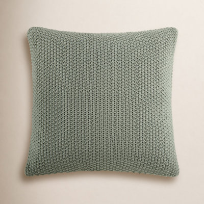 20" x 20" Throw Pillow