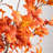 Autumn Oak Artificial Fall Tree-981520337