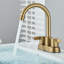 2-handle Bathroom Faucet