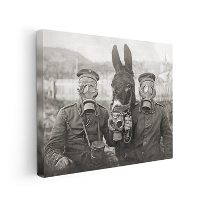 Âne et deux militaires