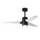 Ceiling Fan with LED Lights