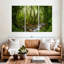 Alvord - forêt tropicale mystique-107970231