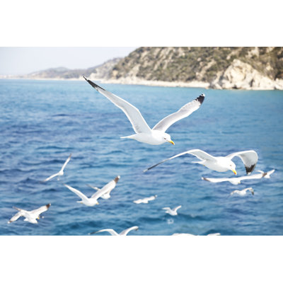 Mediterranean Sea by Remus Kotsell - Wrapped Canvas Print