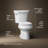 Wellworth 1.28 GPF Water Efficient Round Two-Piece Toilet (Seat Not Included)-10979861-101432687