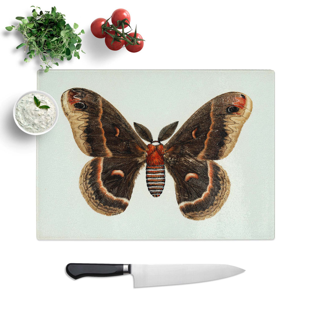Tempered Glass Cecropia Moth Chopping Board
