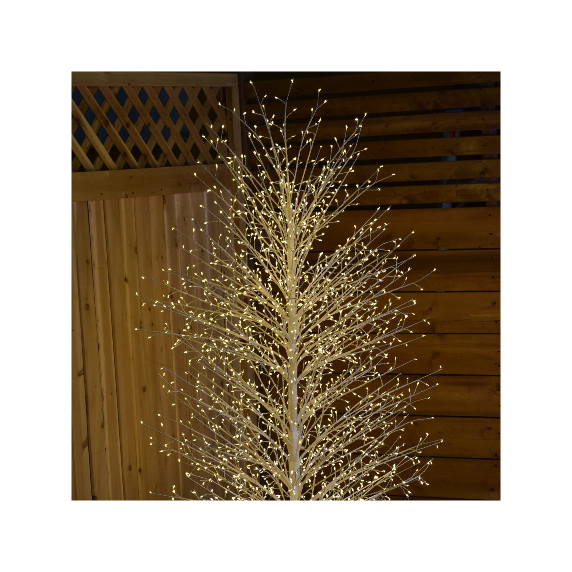 Birch Tree with Warm White LED Lights, White, 70.86" H x 20.8" L x 20.8" D