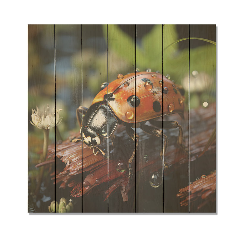 Adventurous Red Ladybug III - Ladybug On Wood Print, 15" H x 15" W