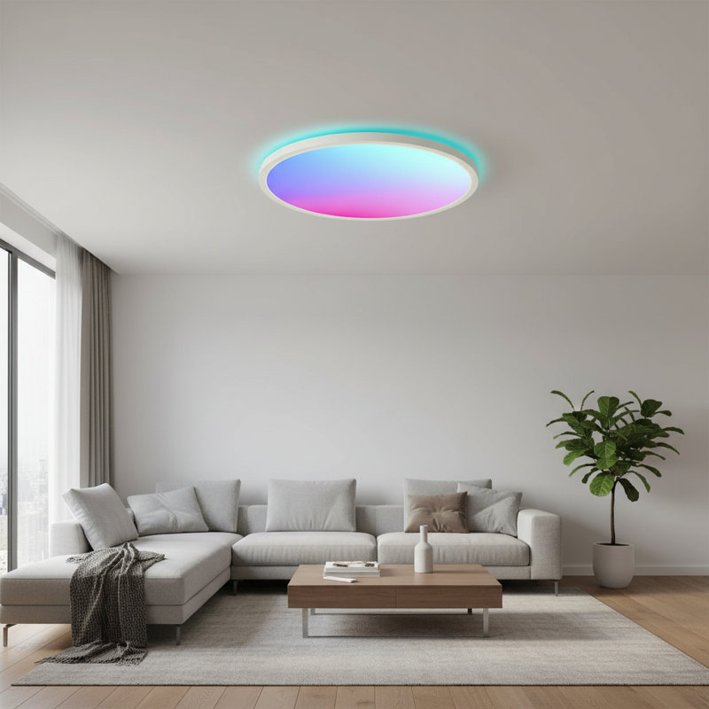2-Pack 12" Smart RGB LED Ceiling Light, 24W 2400LM