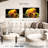 Perched Parrot Pair-2141346541