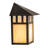 Rustic Lodge Solid Brass Flush Mounted Sconce