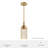 Hunter x Jasmine Roth Beverly Glen 1 Light Pendant Ceiling Light Fixture-107350162-107350163
