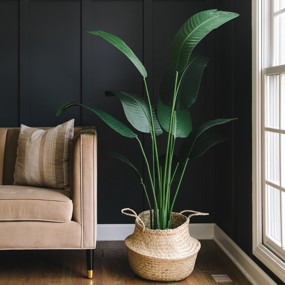 46" Banana Leaf Plant in Pot, 46.5" H x 25" W x 25" D, 1