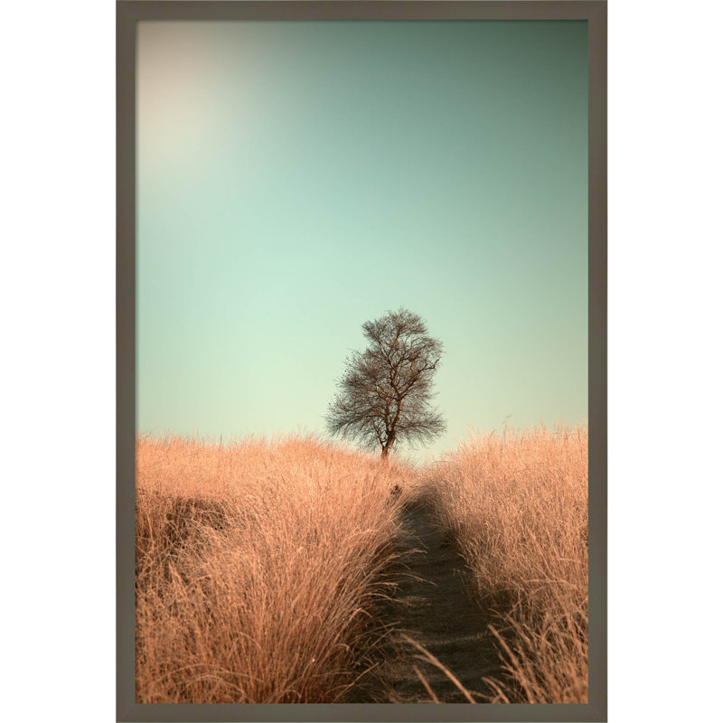 Grass And Path by Jaap Van Den, 23" W x 33" H, Gray