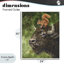 «Bison & Squirrel Duo», giclée par George Dyachenko-1992686405-1992686401