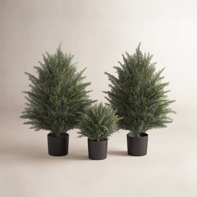 Cute Artificial  Cedar Potted Plant