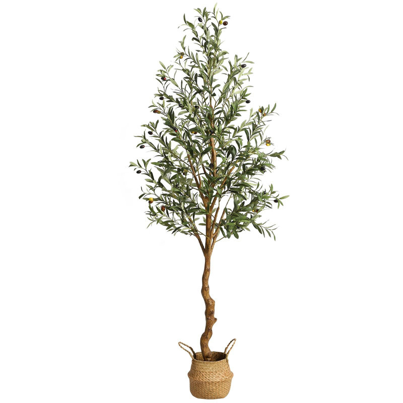 Faux Olive Tree Tree in Pot, 72" H x 6" W x 6" D