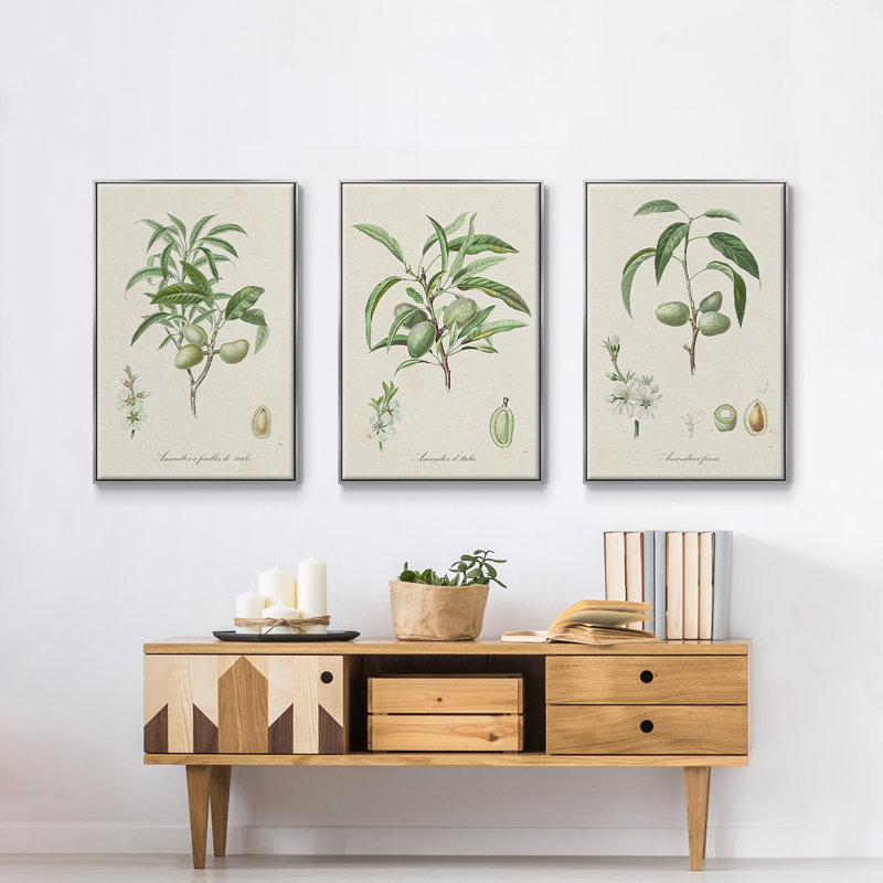 "Antique Ammond Botanical I", reproduction sur toile 3 pièces, H 40 po x l 90 po x P 2 po, Argent