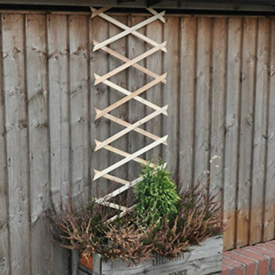 183cm H Wood Expanding Trellis