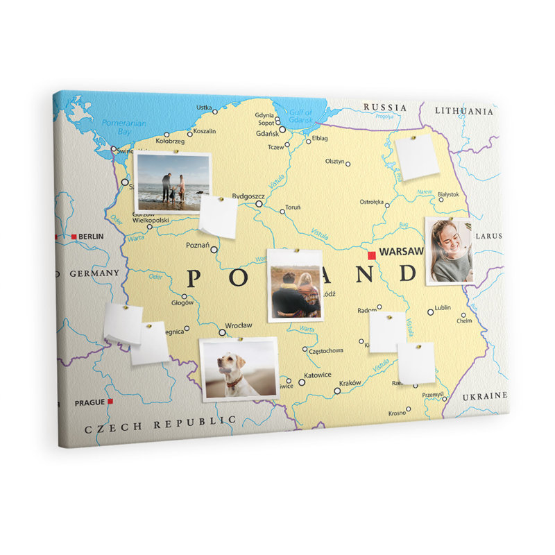 Blodwyn Cork Corkboard / Bulletin Board