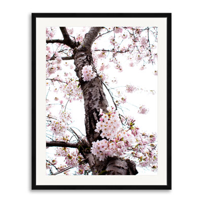 «in Bloom» par Catherine Johns - photographie