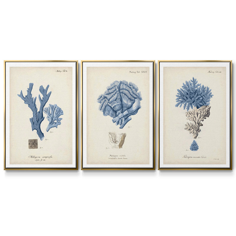 " Antique Coral In Navy I " 3 - Pieces, 40" H x 78" W, Gold