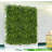 Artificial Hedge Panels Greenery Wall