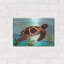 Luxe Spectrum Art «Spectrum Sea Turtle» par Lanre Adef «Spectrum Sea Turtle» par Lanre Adefioyue-101622182