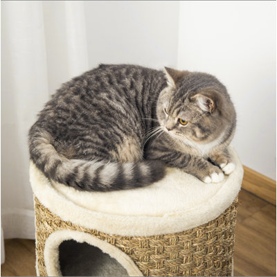 Habitation pour chat 28 pouces PawHut, cachette pour chat à 3 étages avec patin à griffes en sisal, petit arbre à chat en forme de tonneau pour chats d'intérieur, kaki et brun