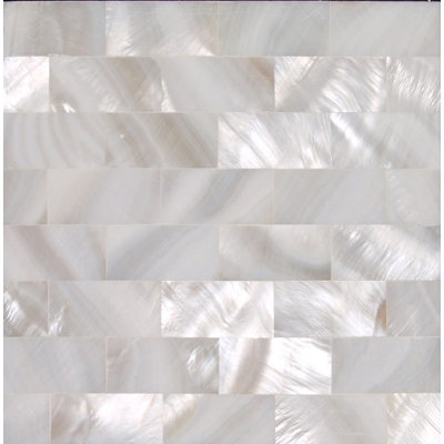 Authentic SeaShell Decorative Tile Insert