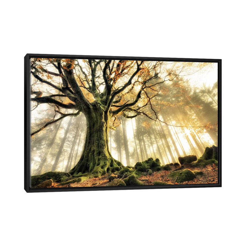 Estampe numérique sur toile « November » par Christophe Kiciak, H 18 po x l 26 po x P 1,5 po, Toile avec cadre noir