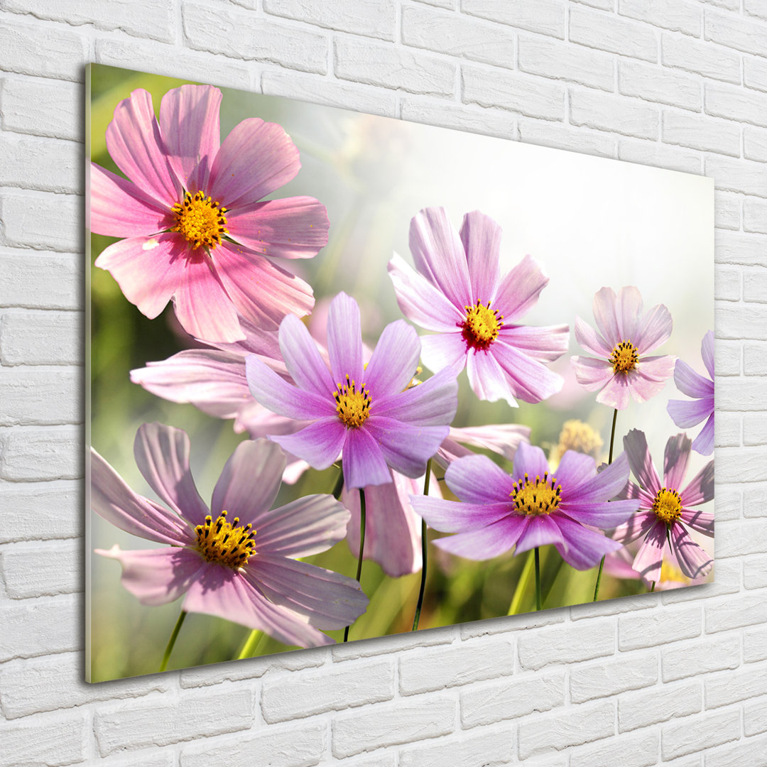 Glasbild Blumen auf der Wiese