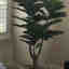 Photos des clients 1 de 1