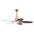 5 - Blade 42Inch Propeller Ceiling Fan with Remote Control and Light Kit Included-829576655