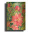 " Blooming Free "-1595437920