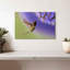 Nectar Brampt sirotant un colibri-107719408