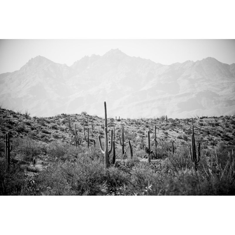 Saguaro Cactus Land by AvatarKnowmad - Wrapped Canvas Print, 30cm H x 46cm W x 3.8cm D