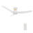 Smart Ceiling Fan With Remote, Light Kit Included, Works With Google Assistant And Amazon Alexa,Siri Shortcut.-2029210775-2040587946