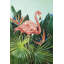 Impression de flamant tropical sur toile