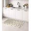 Tapis de cuisine Dragonfly-497540573-497540574