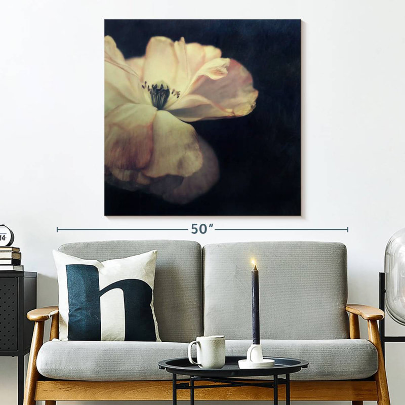 Harnek lumière dans la fleur sombre