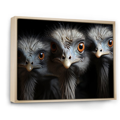 " Mysterious Ostrich Chiaroscuro "
