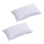 Kahnah Cotton White Bolster Cushion Pad-1222635530