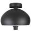 Jesseka Flush Mount-1999400037